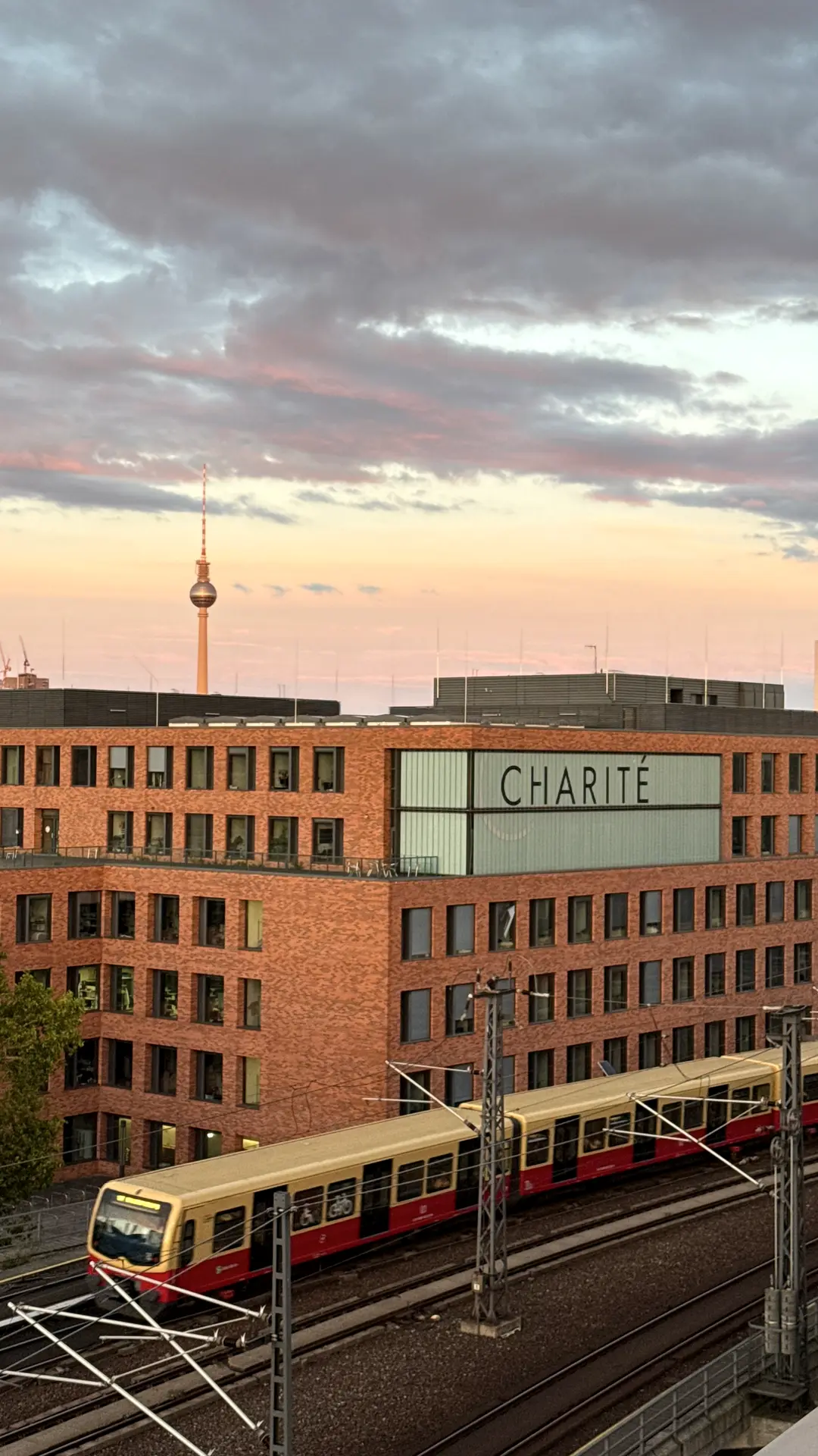 S-Bahn vor dem Charité-Gebäude im Abendlicht, dahinter der Fernsehturm