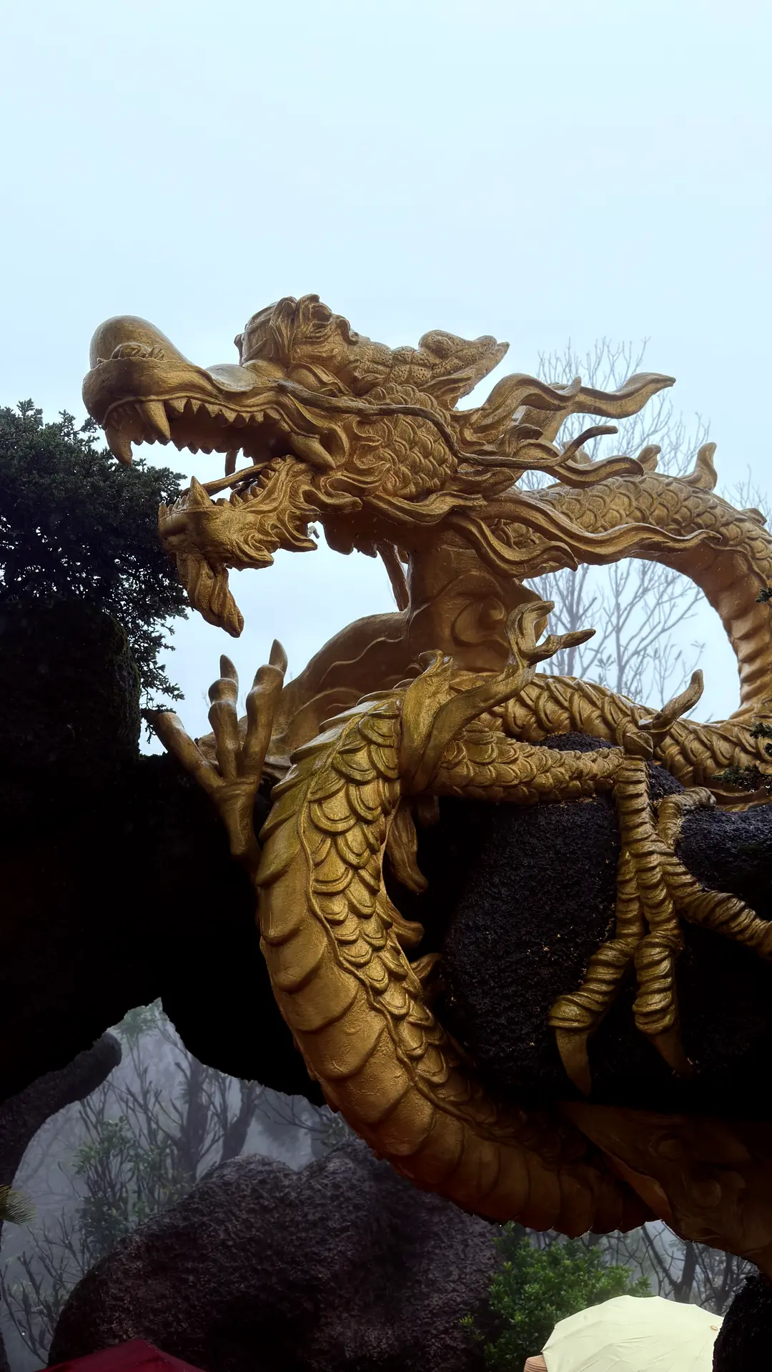 Goldene Drachenskulptur mit aufgerissenem Maul vor hellem Himmel