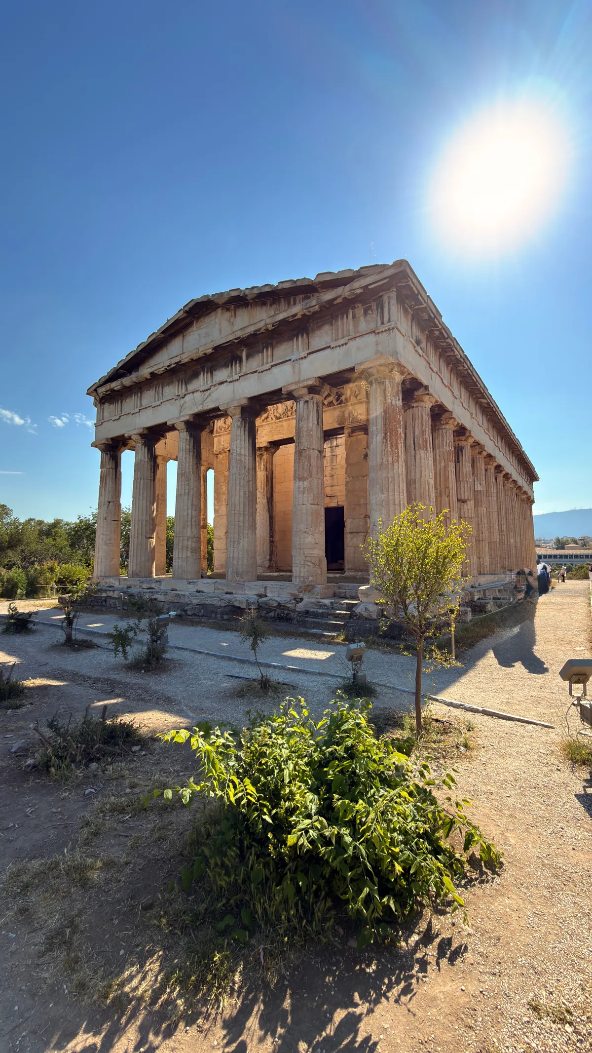 Temple of Hephaestus in the Ancient Agora, shot against the sun, olive trees in front