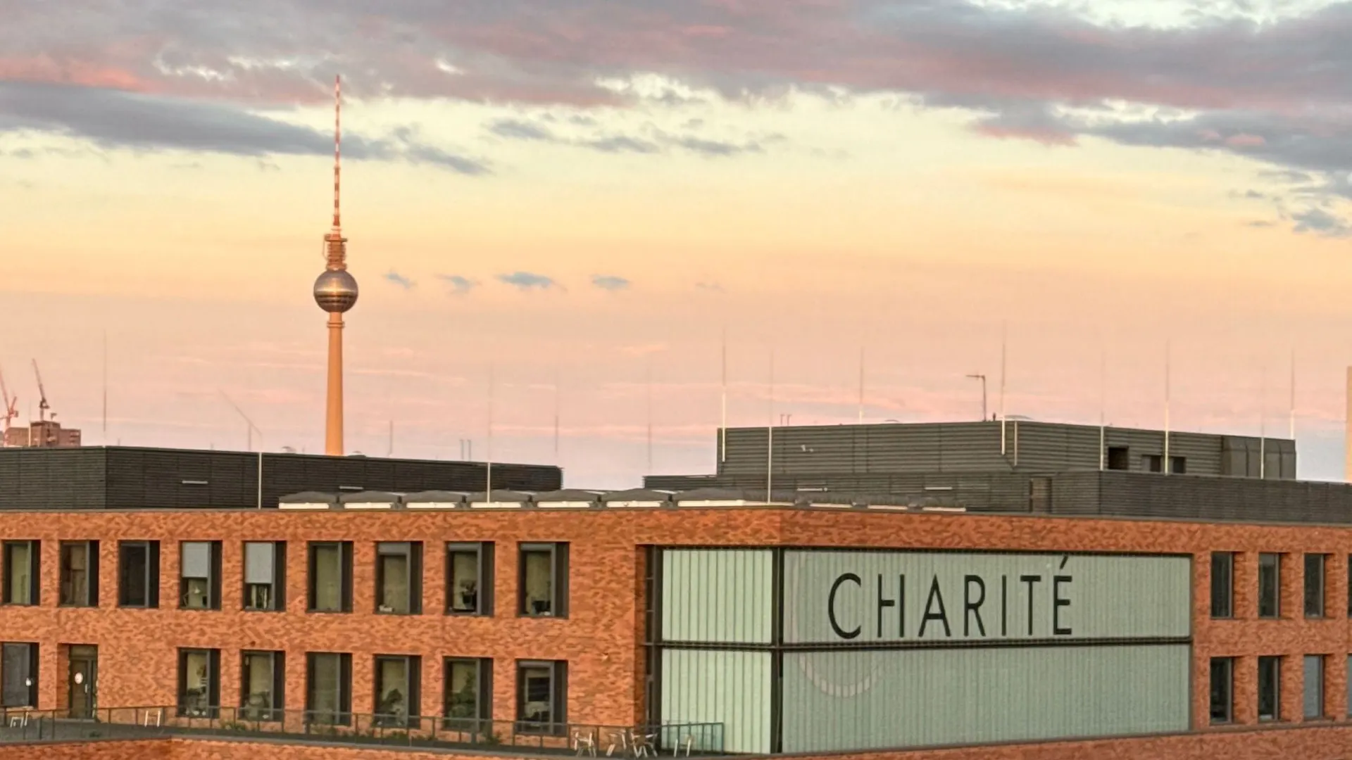 Red S-Bahn train passing the Charité building in evening light, the TV tower on the horizon