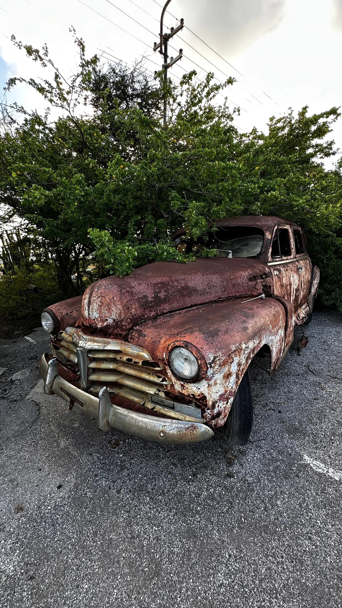 Rusted vintage car with chrome grille abandoned under a tree in the sun